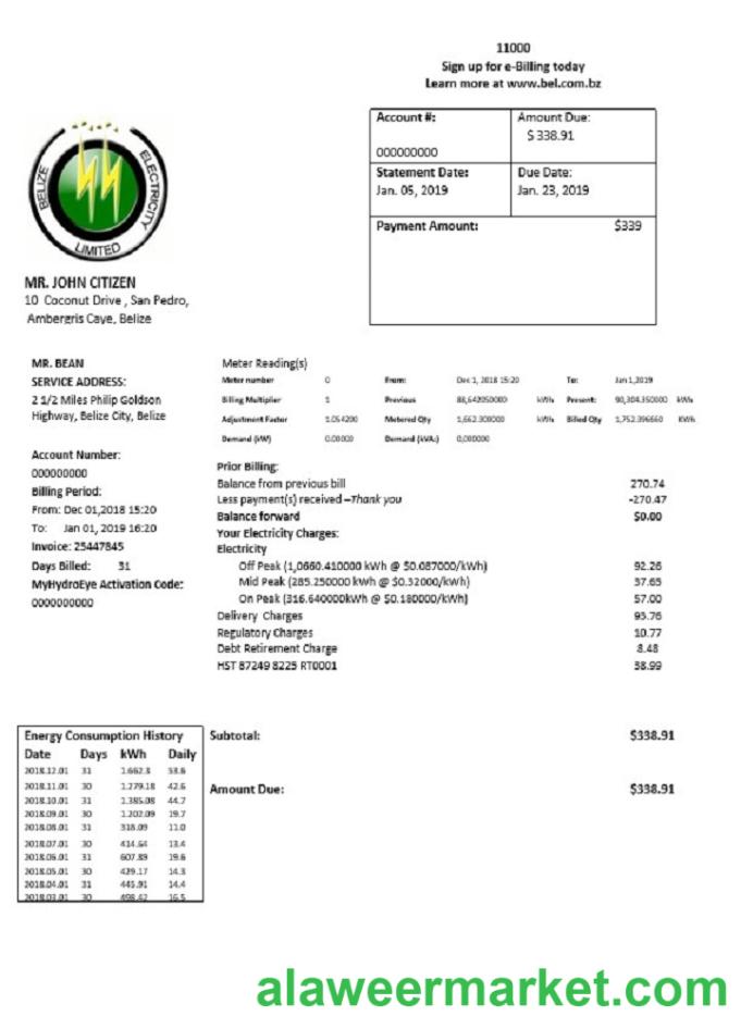 Belize Electricity Limited electricity utility bill template in Word and PDF format